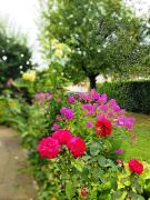 Top Banja Koviljača