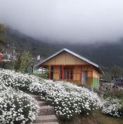 Niru Homestay