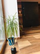 Top Ustroń Top Ustroń