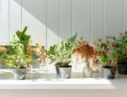 Top Noordwijk aan Zee