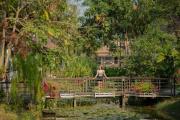 Top Sukhothai