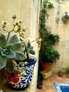 Top Nadur