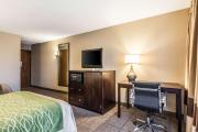 Top Lansing