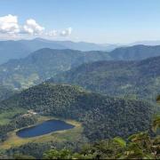 Top Pelling