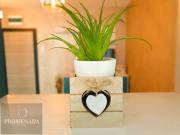Top Mamaia Nord