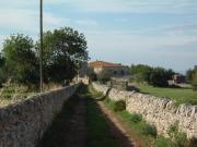 Top Ragusa