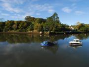 Top Kingsbridge