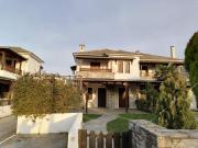 Top Koropi