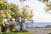 Top Umag