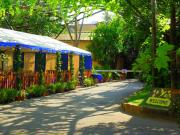 Top Piano di Sorrento