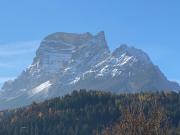 Top San Vito di Cadore