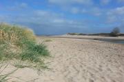 Top Alnmouth