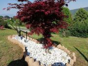 Top Mercallo Top Mercallo