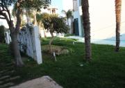 Top Porto Cesareo