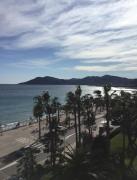 Top Cannes