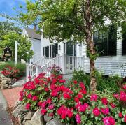 Top Provincetown