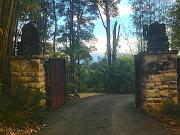 THE GOLDEN RETREAT POOL HOUSE