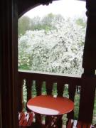 Top Triembach-au-Val