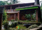 Rain Forest Guest House and Jungle Trekking
