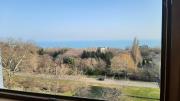 Apartment Icovi 2
