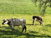 Top Saint-Agnan-sur-Sarthe