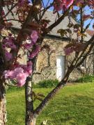 Top Surville Top Surville