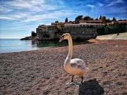 Top Sveti Stefan