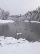 Top Krāslava