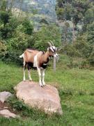 Top San Francisco Top San Francisco