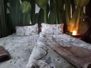 Tulips - Room for travelers, close to the Airport, transport possible