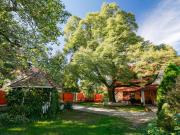 Apartment Tilia 4 by Interhome Apartment Tilia 4 by Interhome