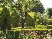 Top Vila Real Top Vila Real