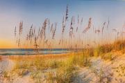 Top Westerland (Sylt)
