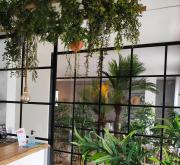 Top Armação de Pêra