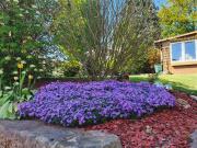 Mein Ferienhaus Seeburg