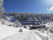 Top Mokra Gora