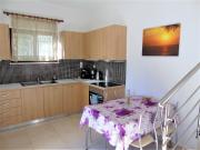 Top Exopoli Top Exopoli