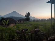 Top Mojokerto Top Mojokerto