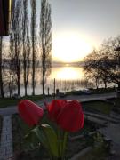 Top Ohrid