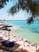 Top Hammamet