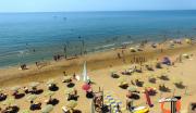 Top Triscina