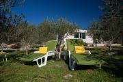 Olive Eden Holiday Home