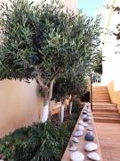 Top Agia Ermioni