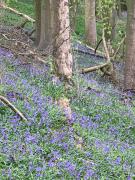 Top Aysgarth