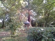 Top Chenonceaux Top Chenonceaux