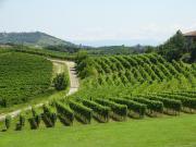 Top Nizza Monferrato