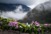 Top Baños