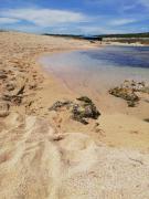 Top Nurachi Top Nurachi