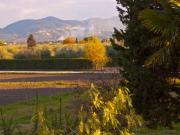 Top Donoratico Top Donoratico