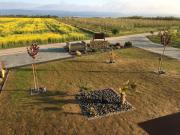 Top Ingelheim am Rhein